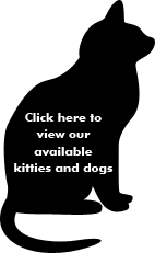 View The CatWorks Available Kitties and  Dogs
